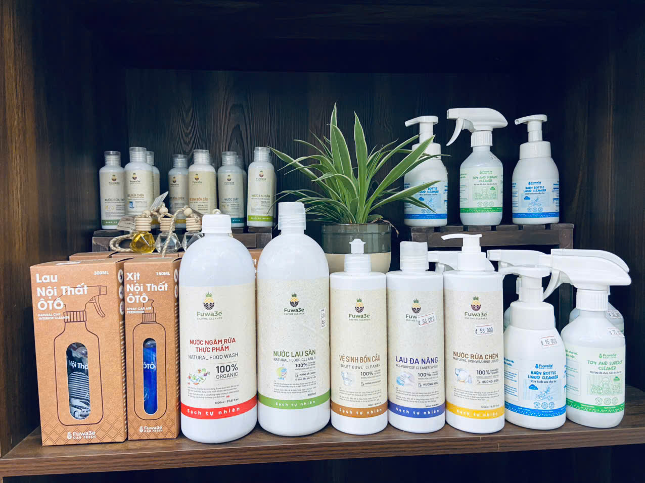 Chăm sóc nhà cửa