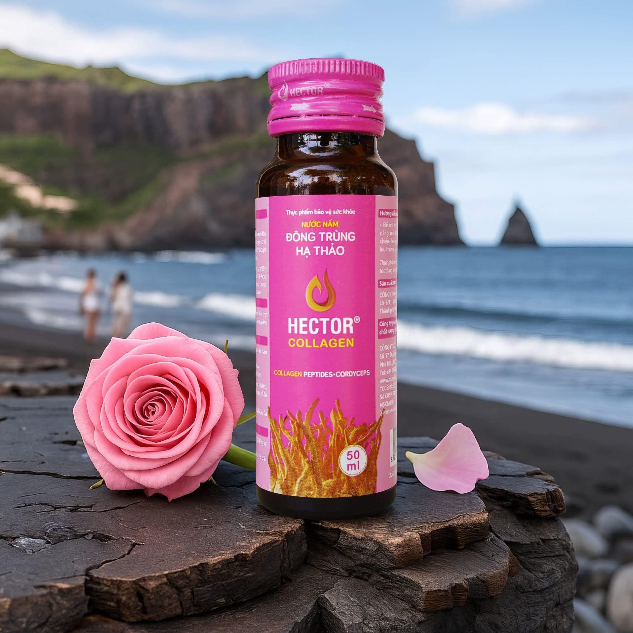 Hector Collagen đông trùng hạ thảo
