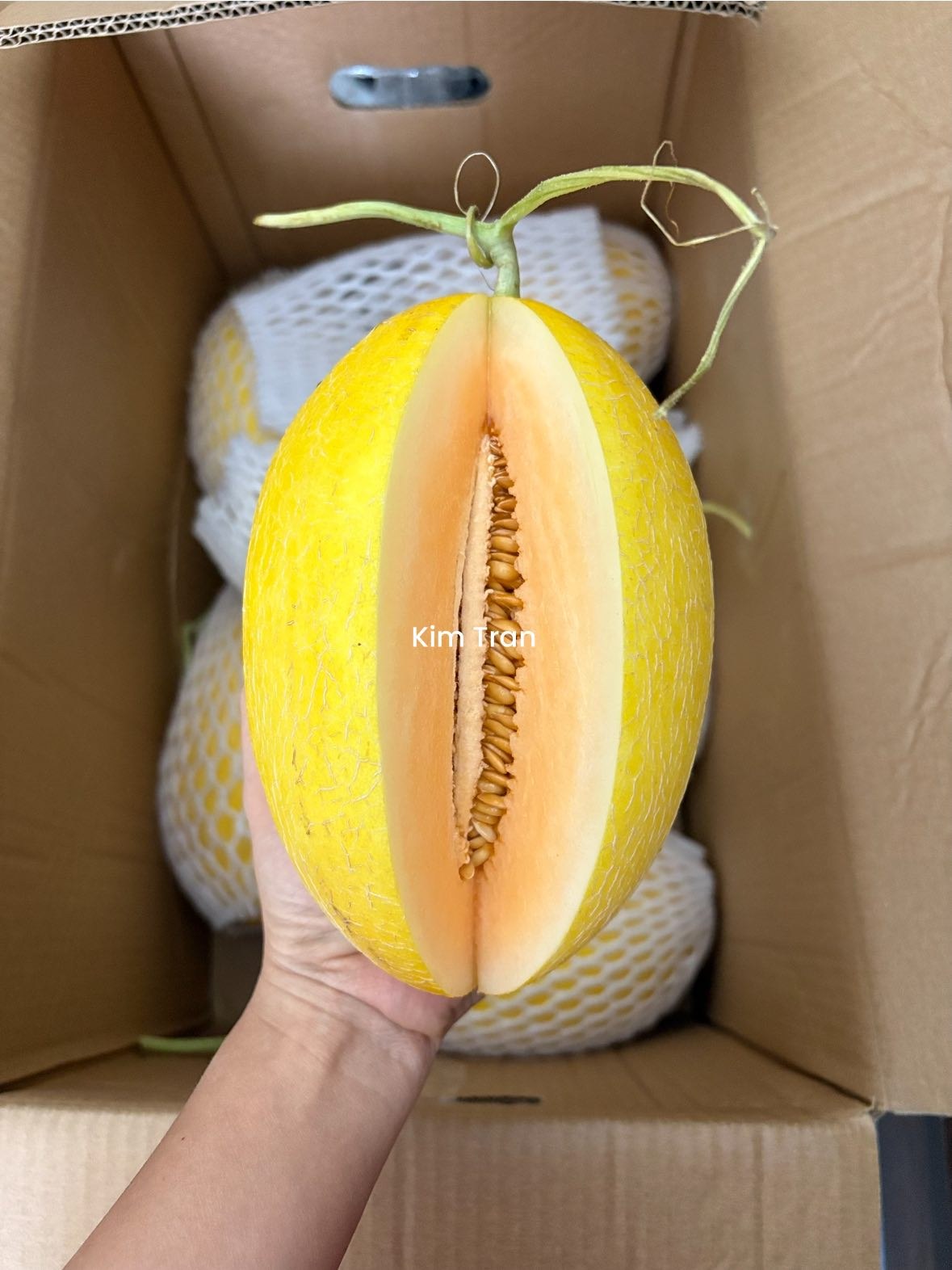 Ảnh 5