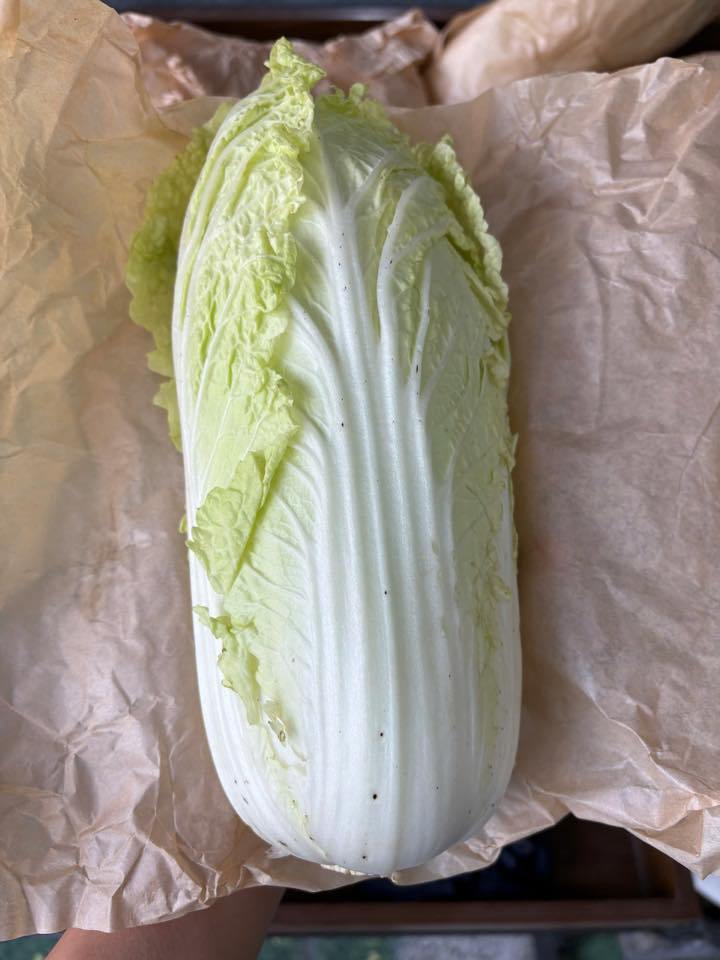 Ảnh 3