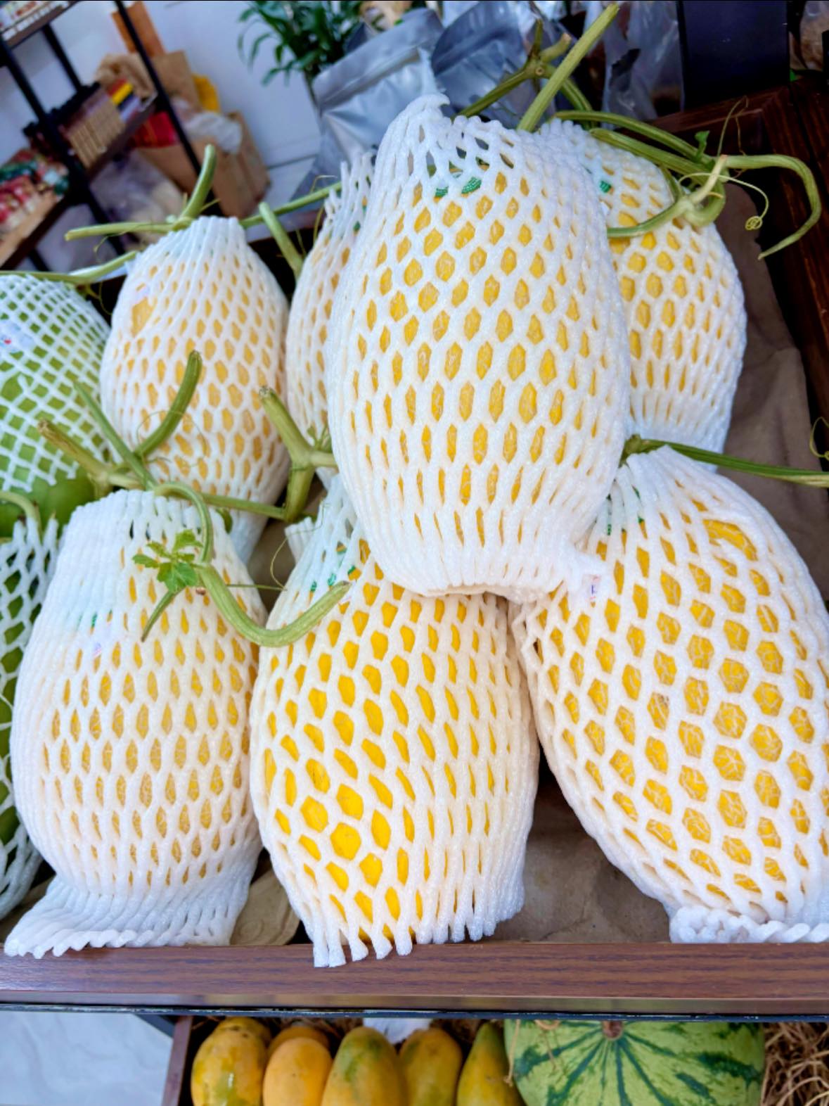 Ảnh 4