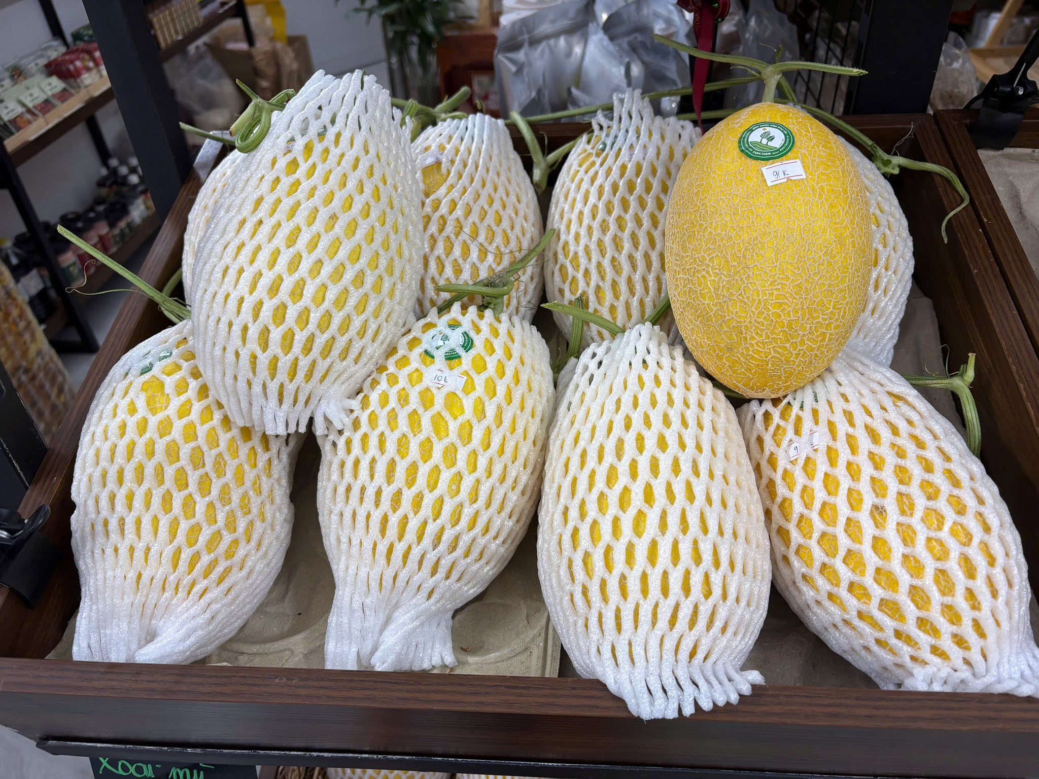 Ảnh 2