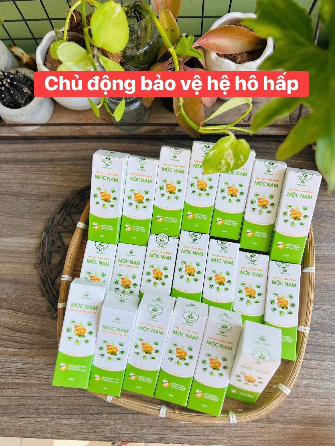 Ảnh 2