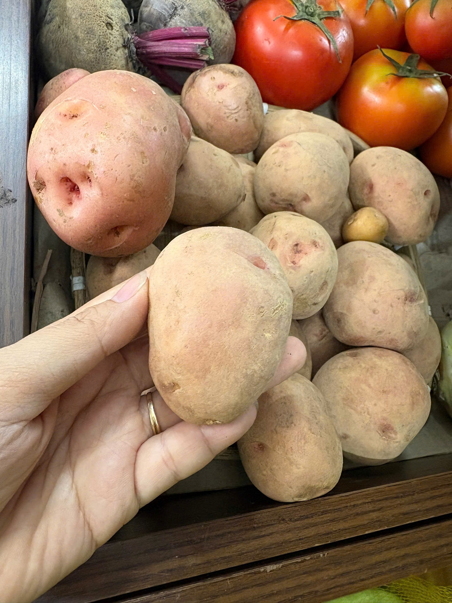 Ảnh 2