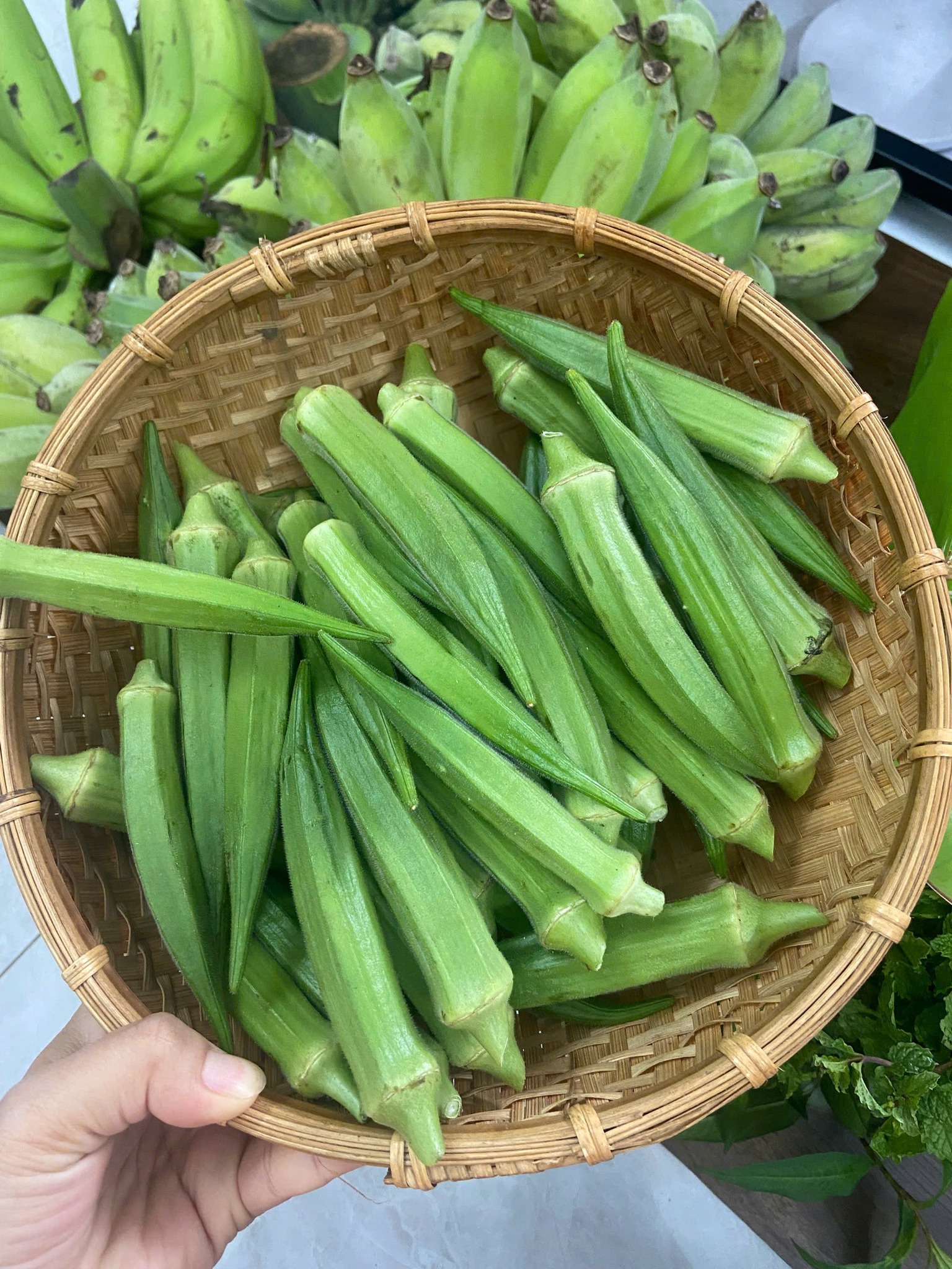 Ảnh 2