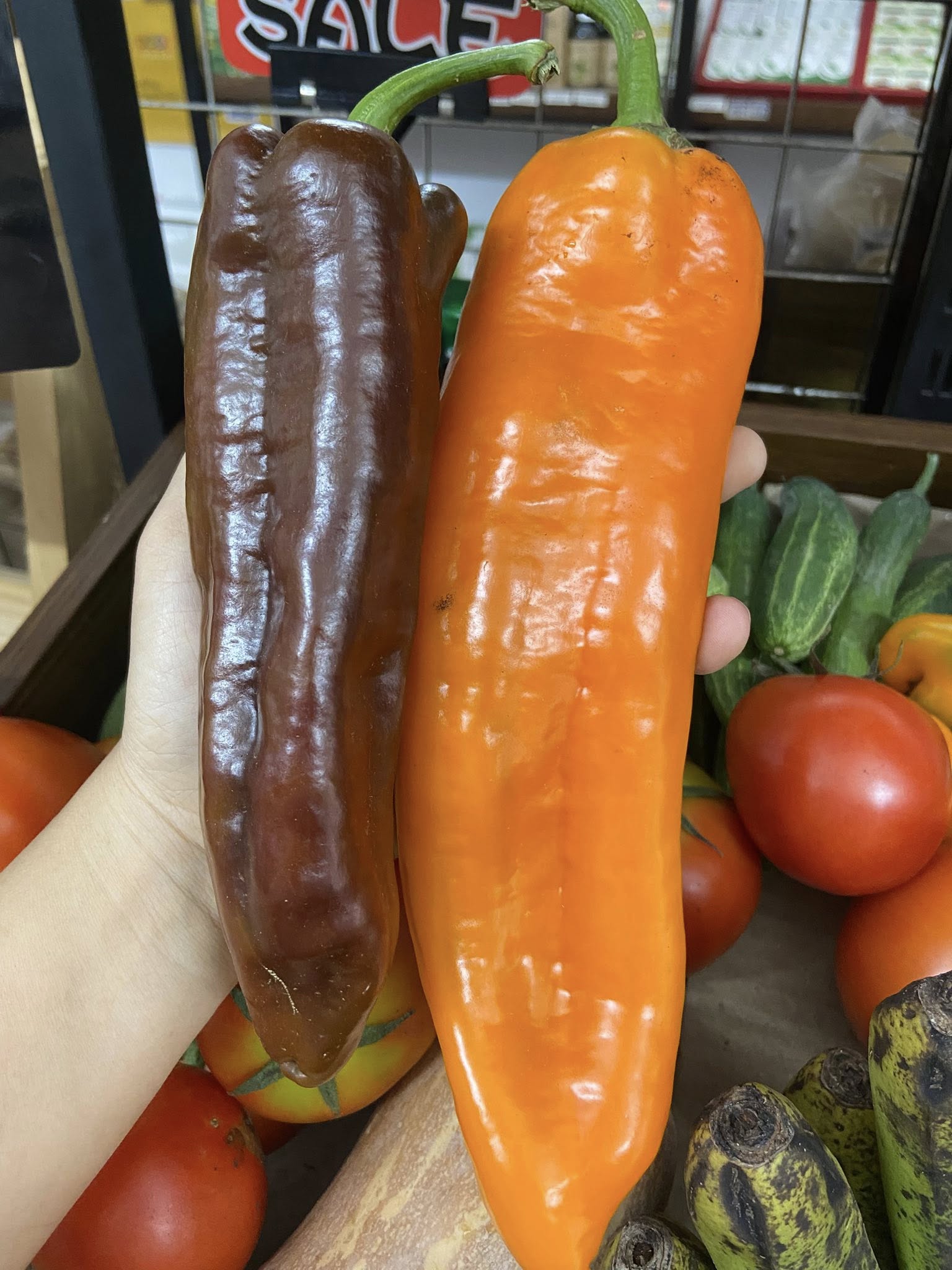 Ảnh 2