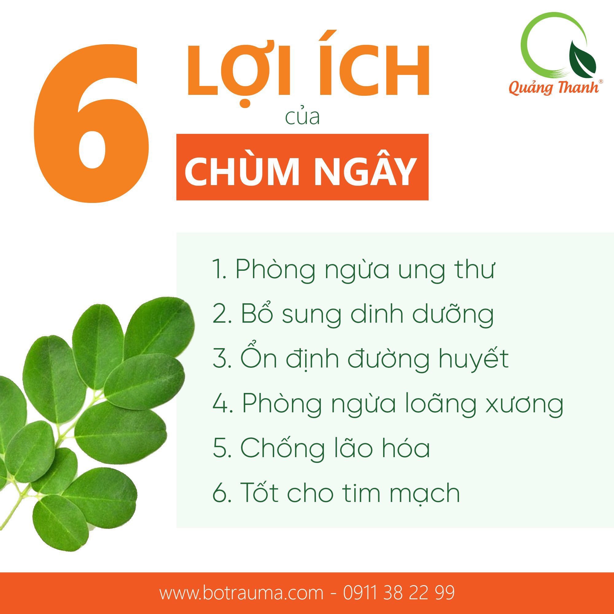 Bột Chùm Ngây gói 50g