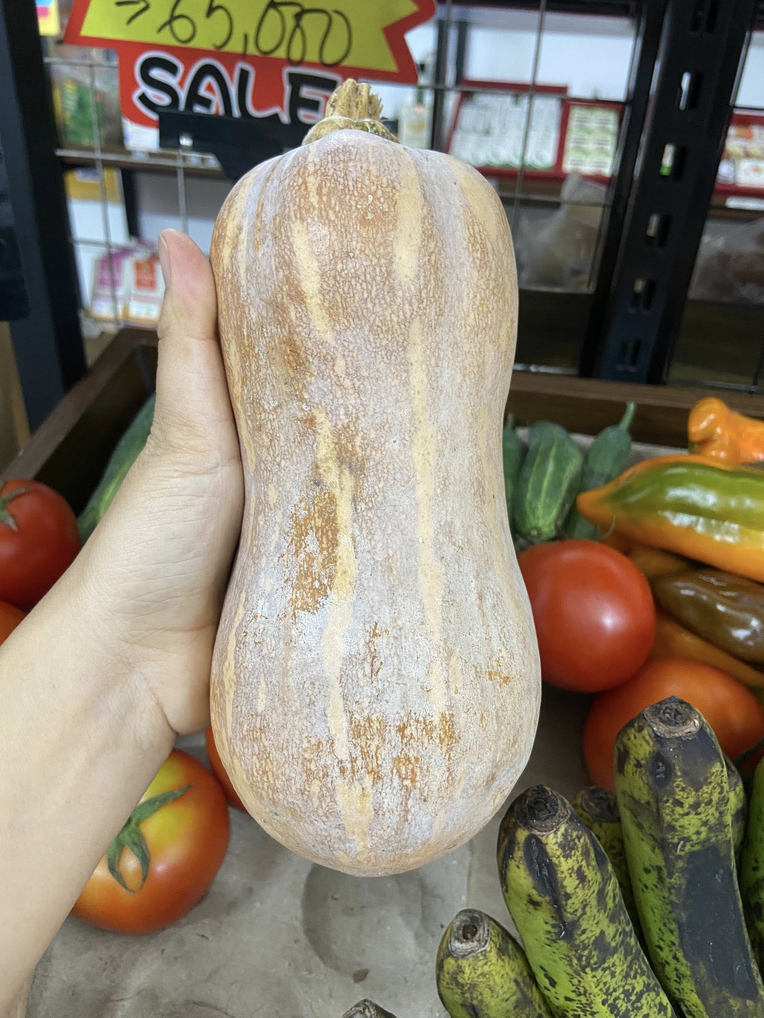 Ảnh 2