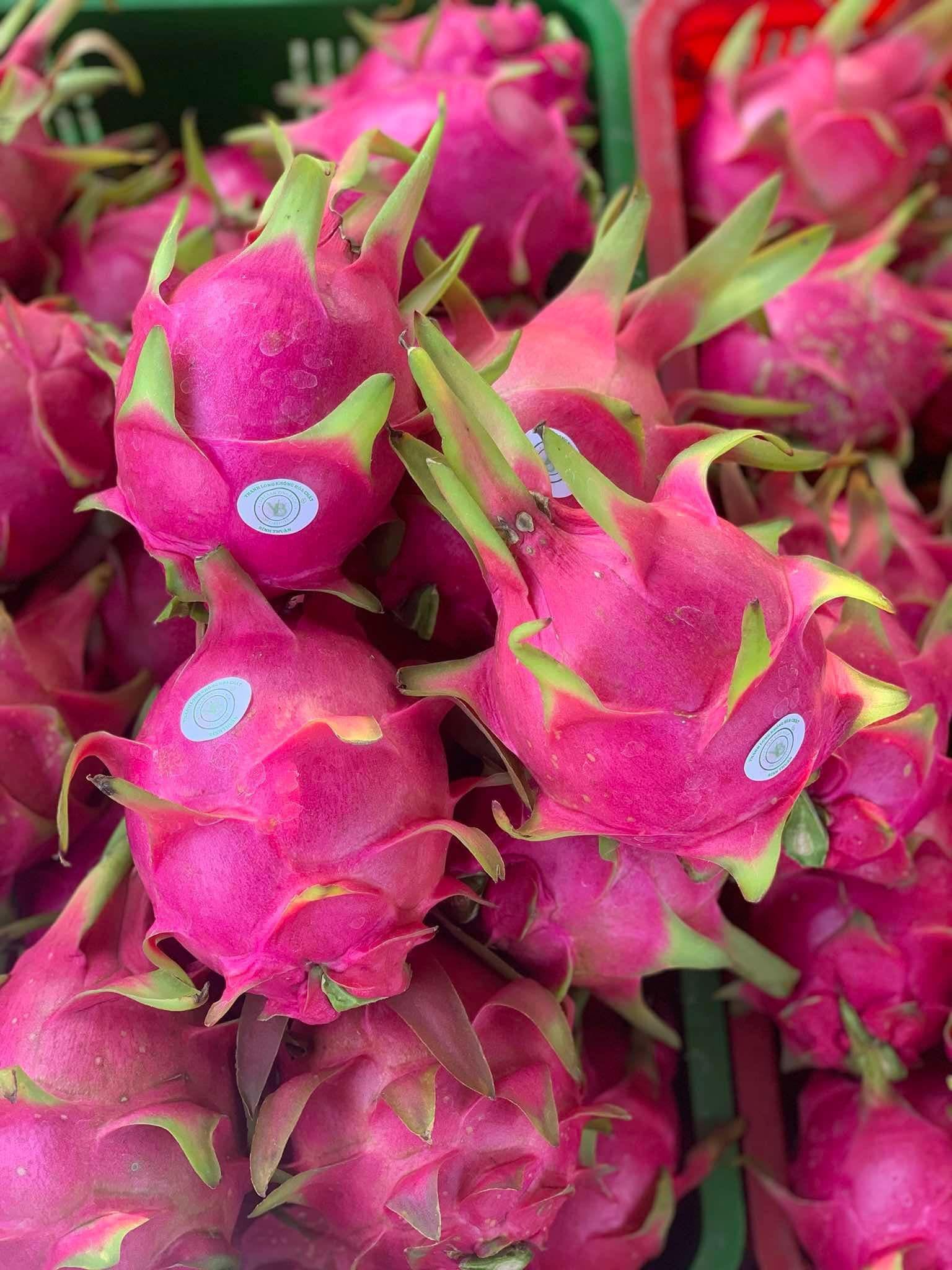 Thanh long Vinh Bách