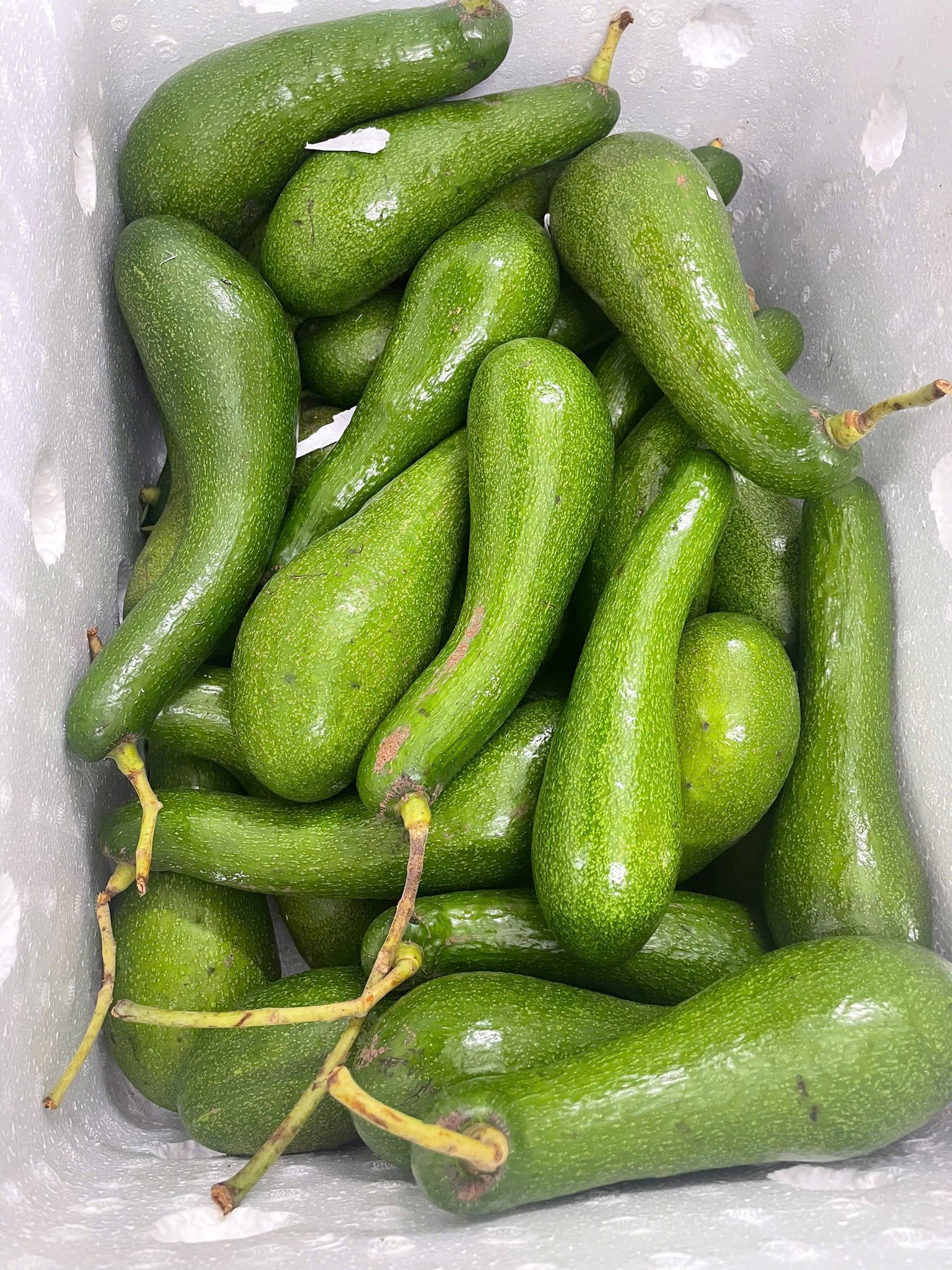 Ảnh 4