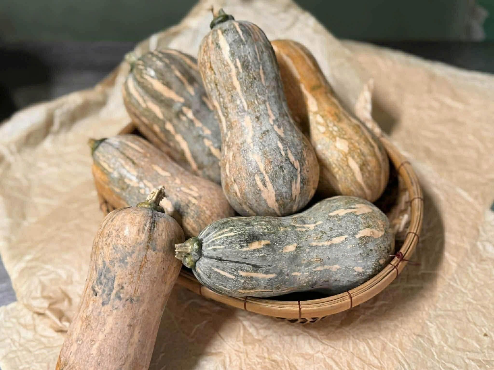 Bí hồ lô