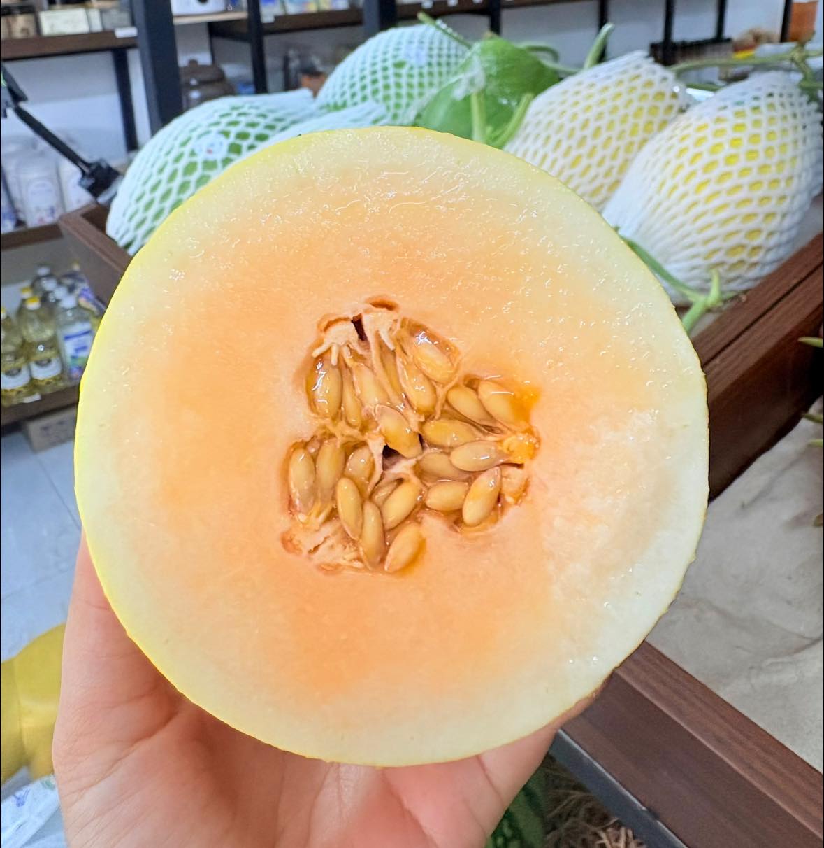Ảnh 3