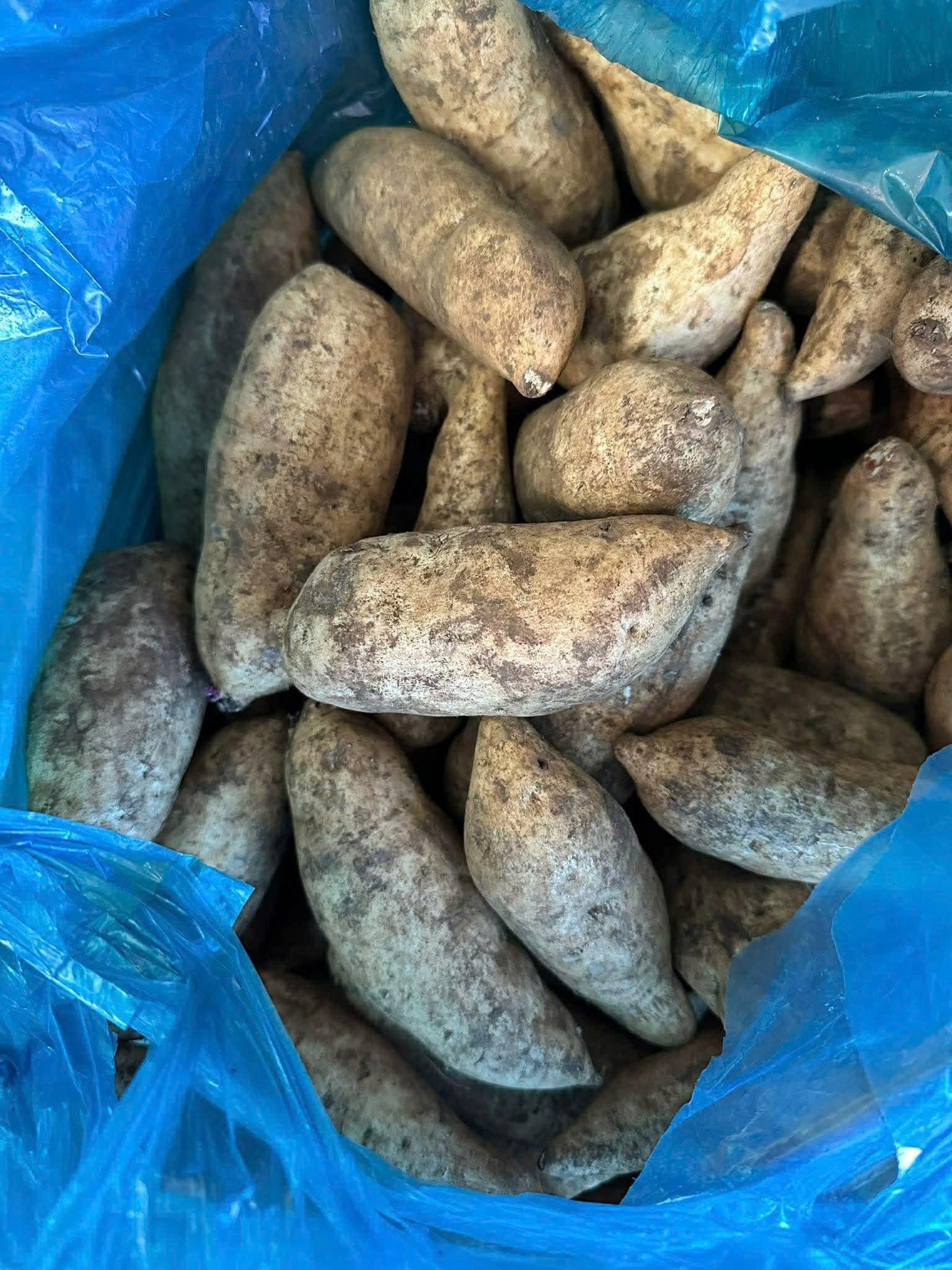 Ảnh 2