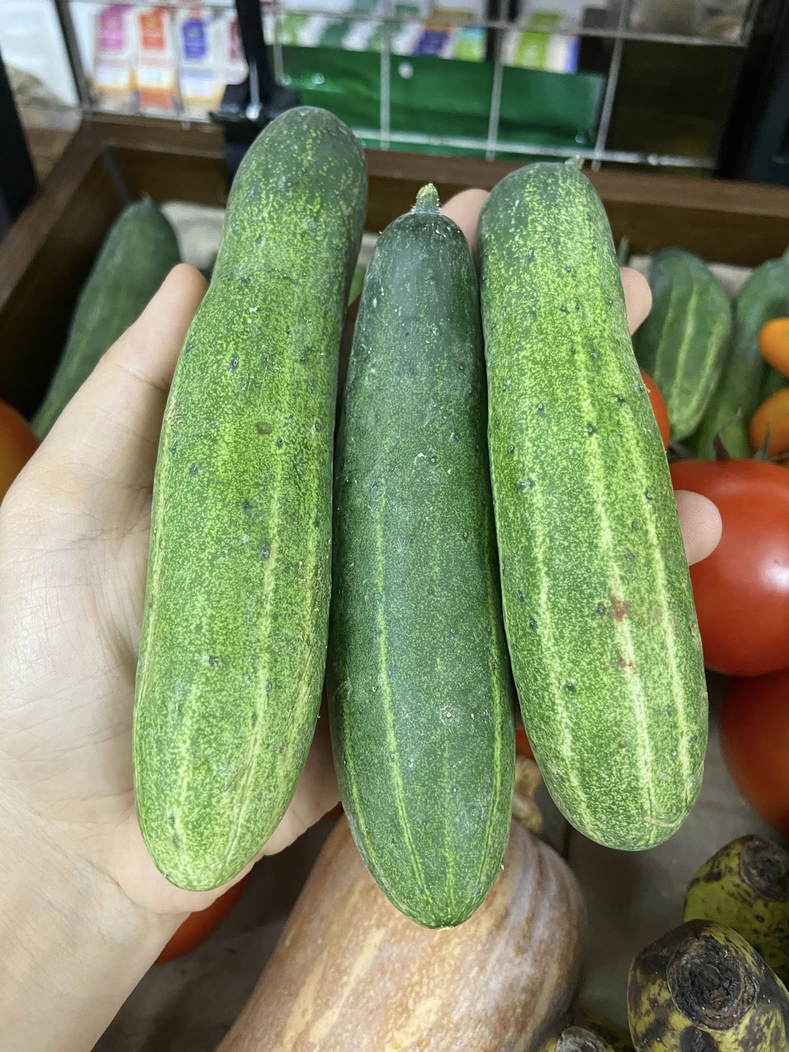 Ảnh 2