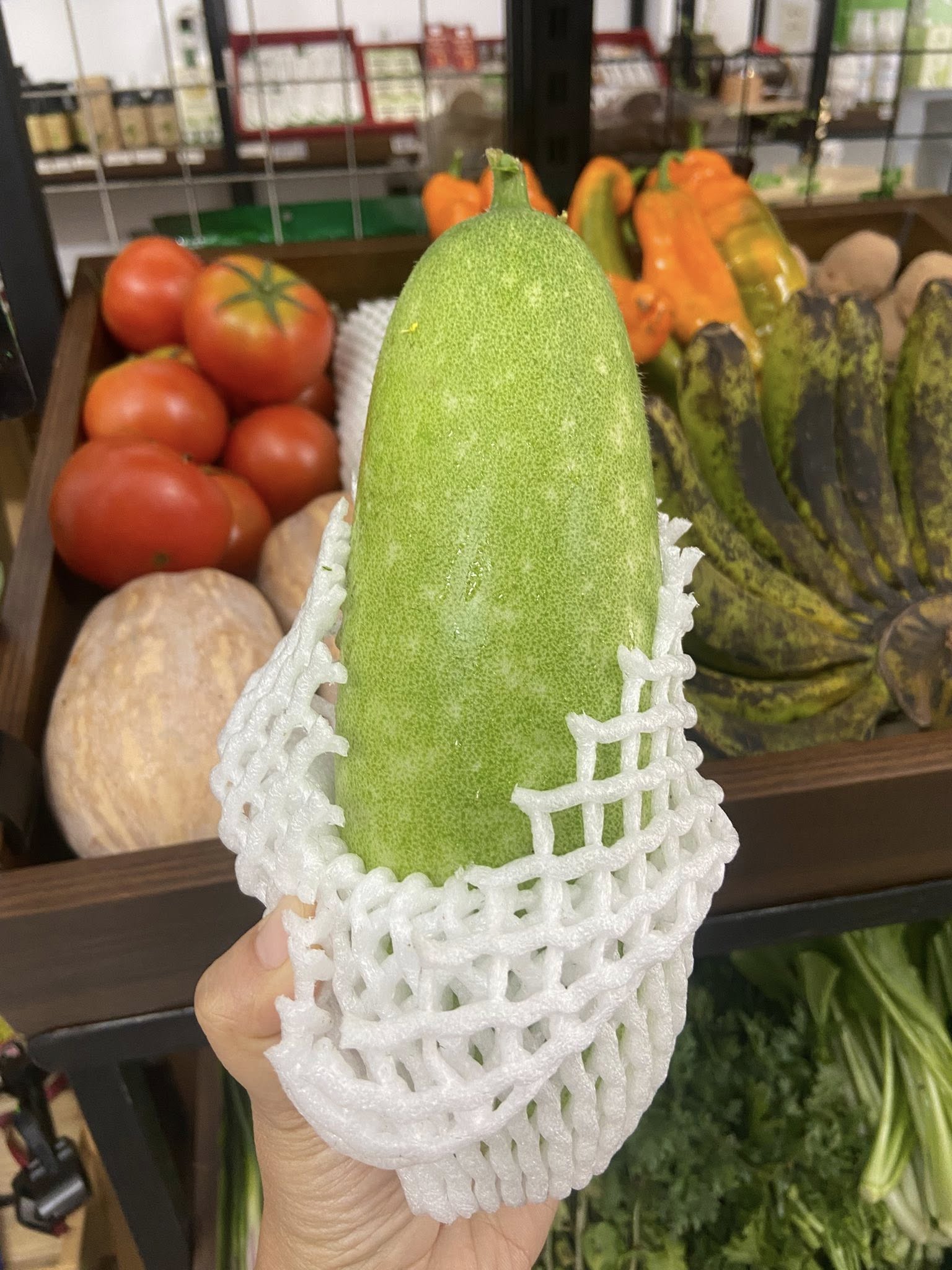 Bí xanh (bí đao)