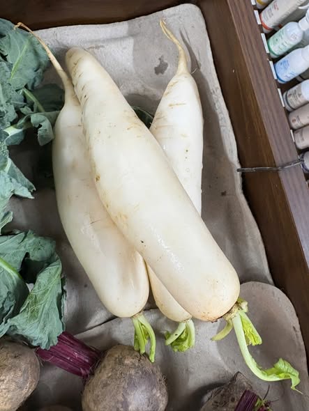 Củ cải trắng