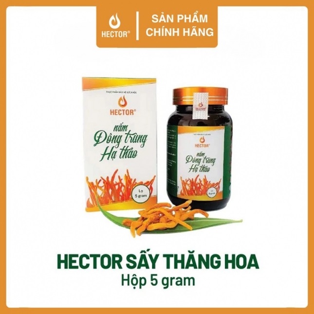 Nấm đông trùng hạ thảo sấy thăng hoa nguyên cọng Hector