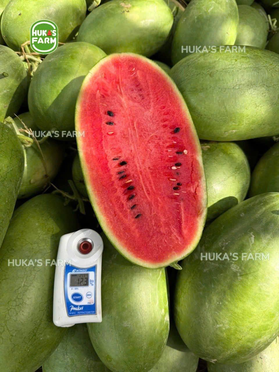 Ảnh 2