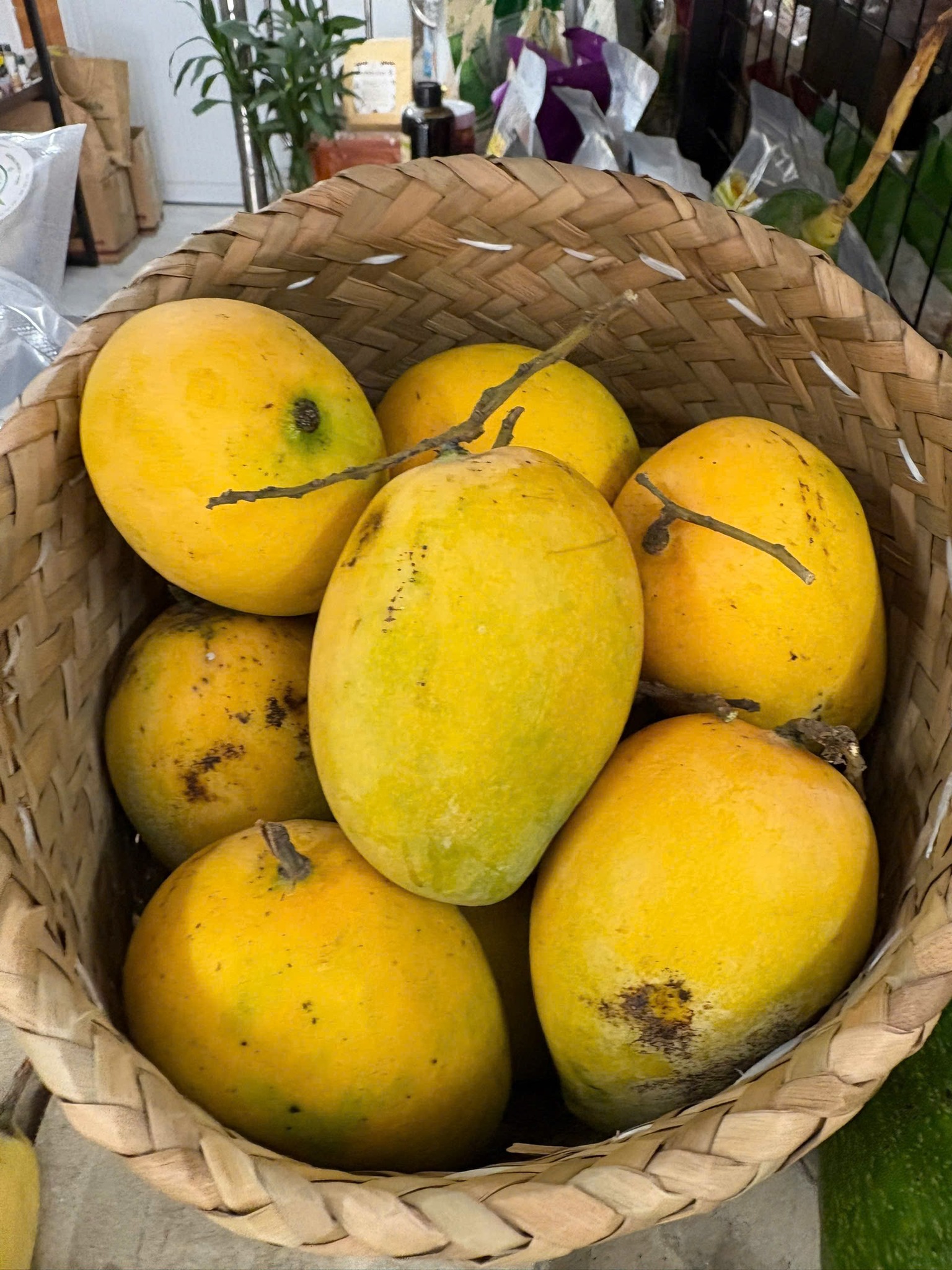 Xoài mủ